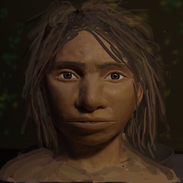 An illustration of a Denisovan’s face from the shoulders up, with intent brown eyes staring squarely at the viewer. 