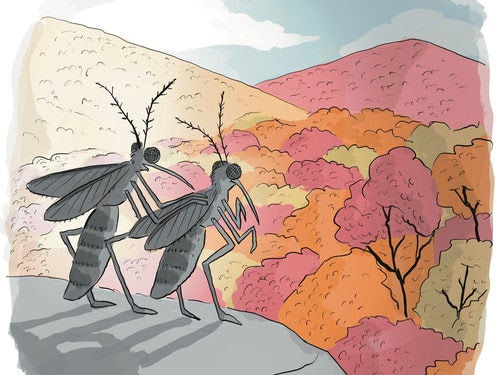 Two mosquitos look at rolling hills covered in beautiful fall foliage.