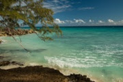 Barbados, is everyone's dream of the perfect tropical beach - cliffs, coconut palms, a cave, white sand, brisk breezes and Turquoise Sea.