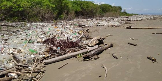 Playas venezolanas afrontan crisis ambiental por falta de conciencia ciudadana y gubernamental