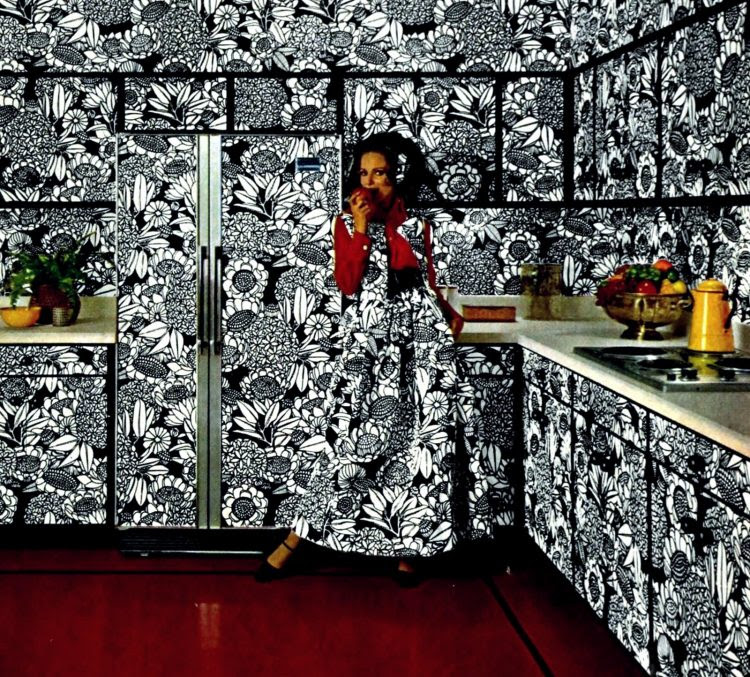 Wild black and white kitchen and appliances 1968