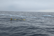 An autonomous underwater glider floats at the surface, ready to begin its mission.