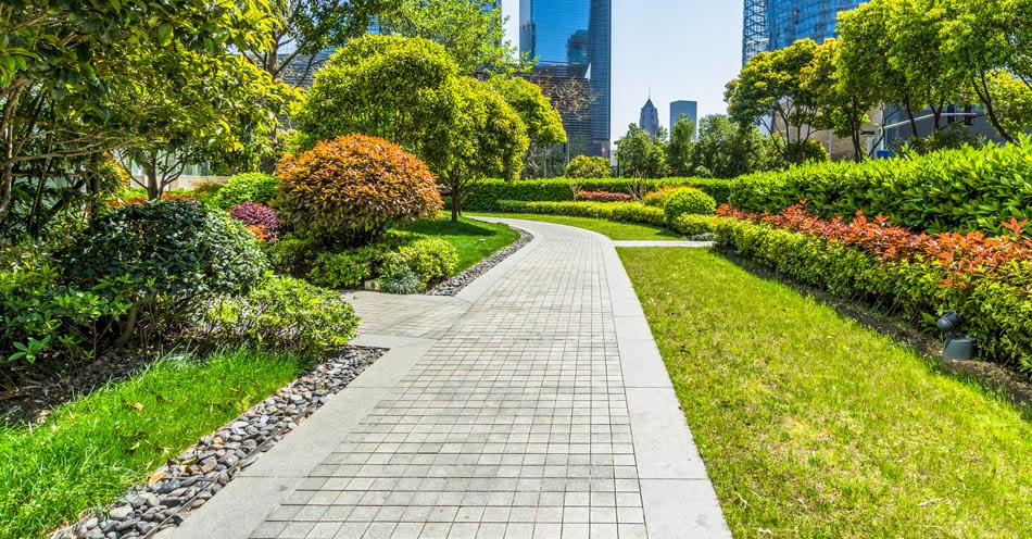 Landscape Contractors in Dubai