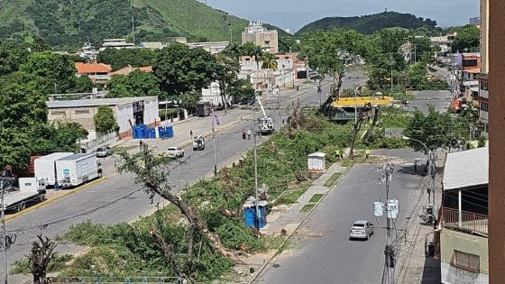 Talas de Corpoelec amenazan el arbolado urbano de Maracay