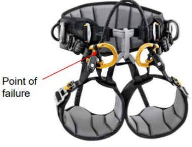 News - Petzl Tree removal: how to dismantle a tree - Petzl USA