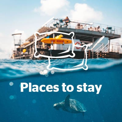 Plan your stay