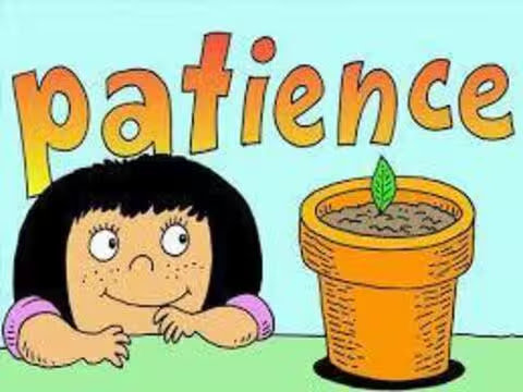 Patience-Growing-Plants