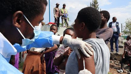 Mpox : 'Aucune raison d'être inquiet pour une épidémie à grande échelle', estime l'infectiologue Karine Lacombe