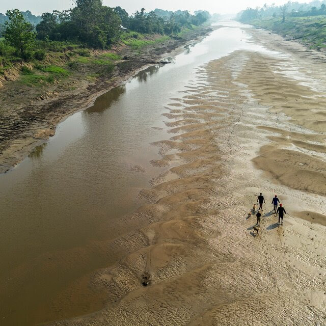 People walking through a shallow river, surrounded by trees.