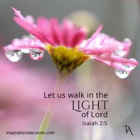 Light-walk-Isaiah2-5