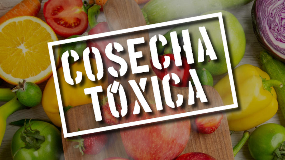 Cosecha tóxica: el aumento de los 'plaguicidas eternos' en frutas y hortalizas de Europa