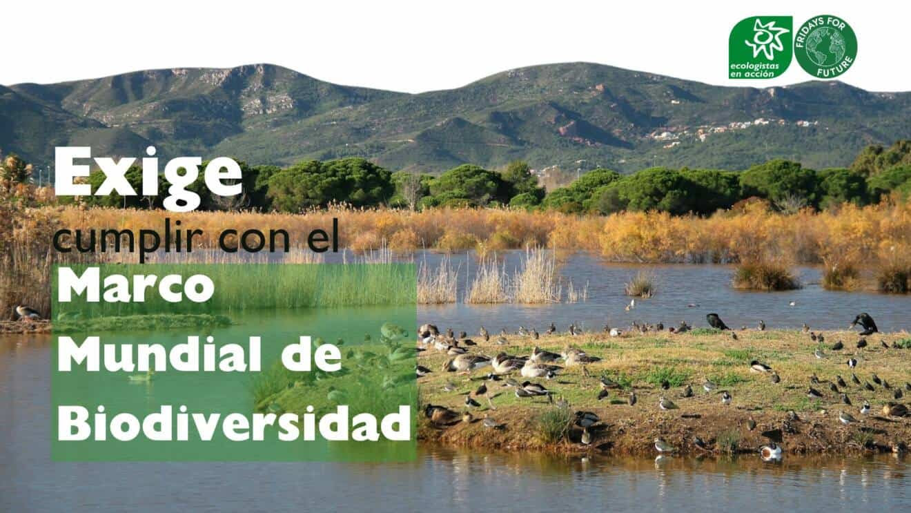 [Ciberacción] Exige a los gobiernos que se cumpla el Marco Mundial de Biodiversidad