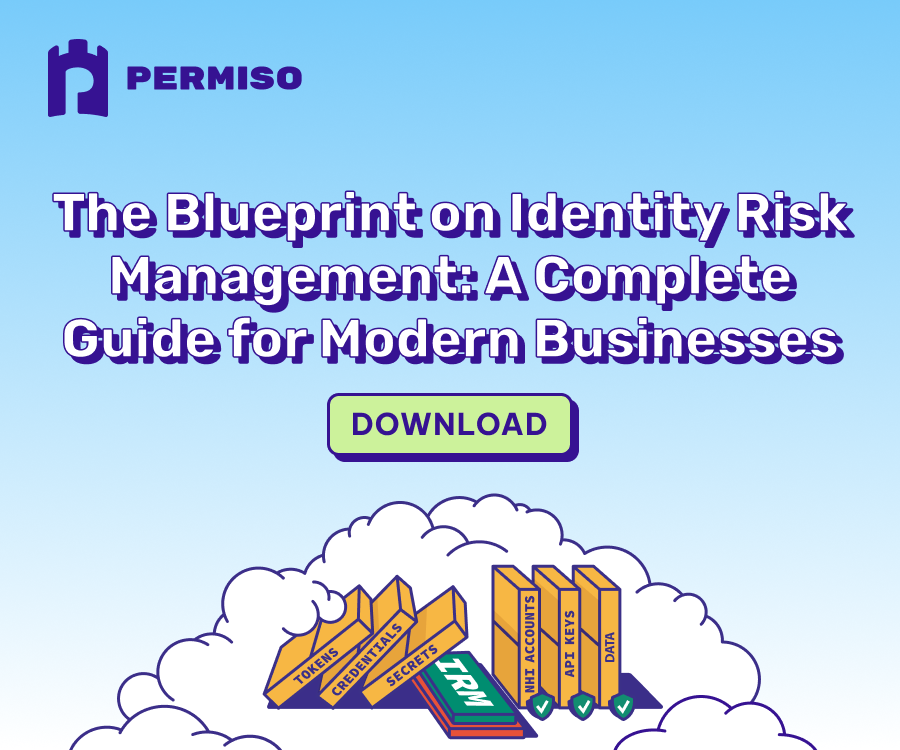 The Blueprint on Identity Risk Management