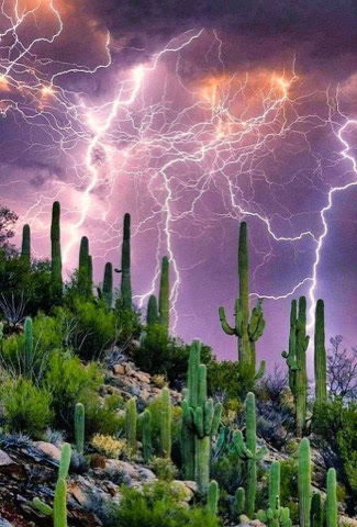 Lightning-Arizona