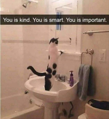 Kind-Smart-Important