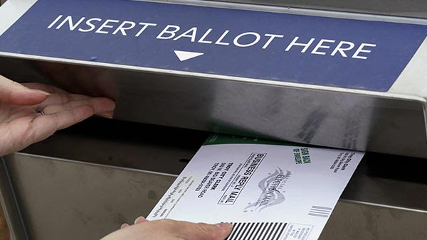 Here's the Number of Mail-In Voters Who Admit They Cheated During the 2020 Election