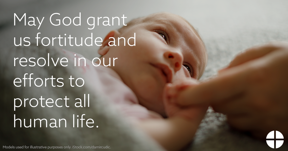 May God grant us fortitude and resolve in our efforts to protect all human life.