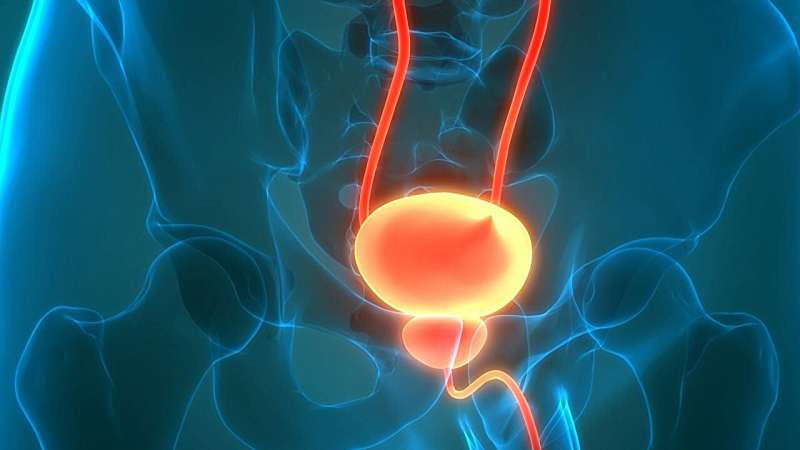 FDA approves gemtesa for overactive bladder in men with BPH