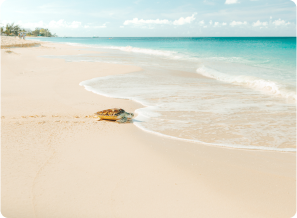 Grand Cayman,  Cayman Islands
