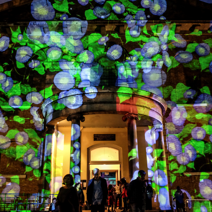 Hackney Revealed | Illuminated Arts Festival