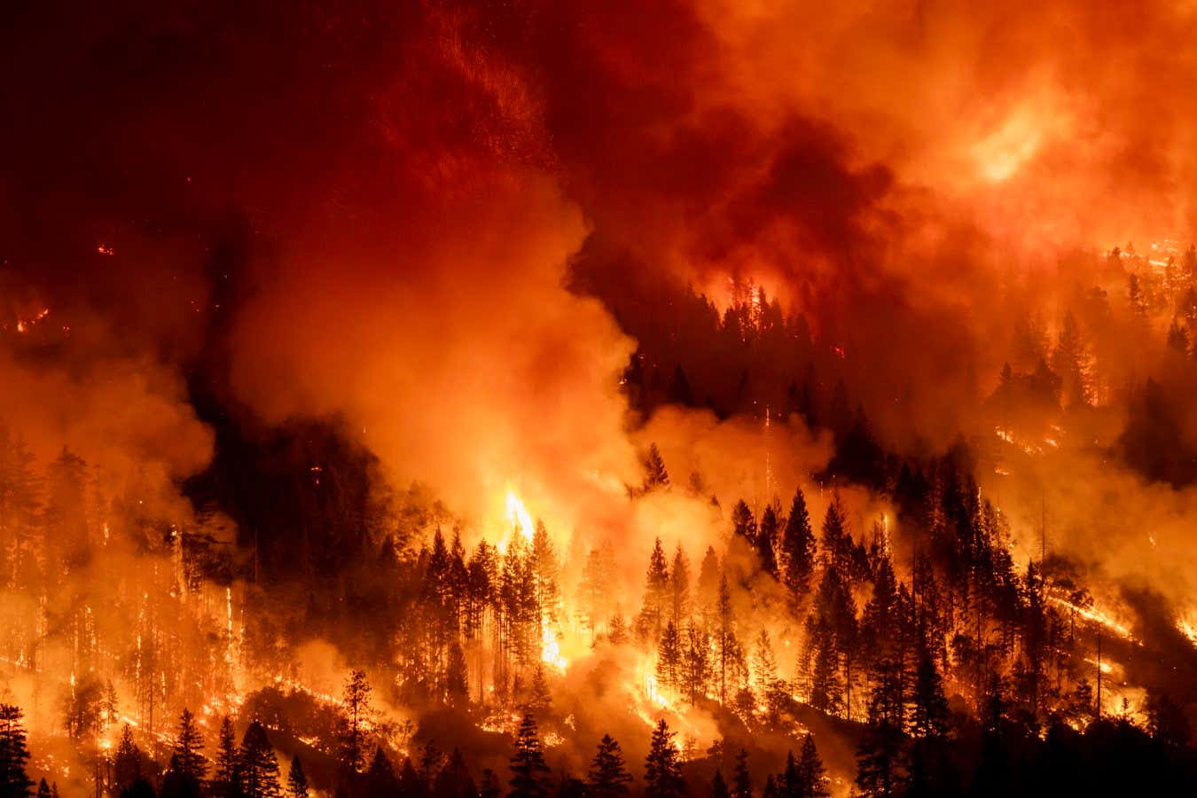 The Park Fire burns through the night on July 30, 2024 near Chico, California