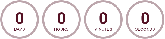 Countdown Timer