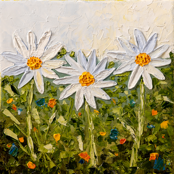 Daisies