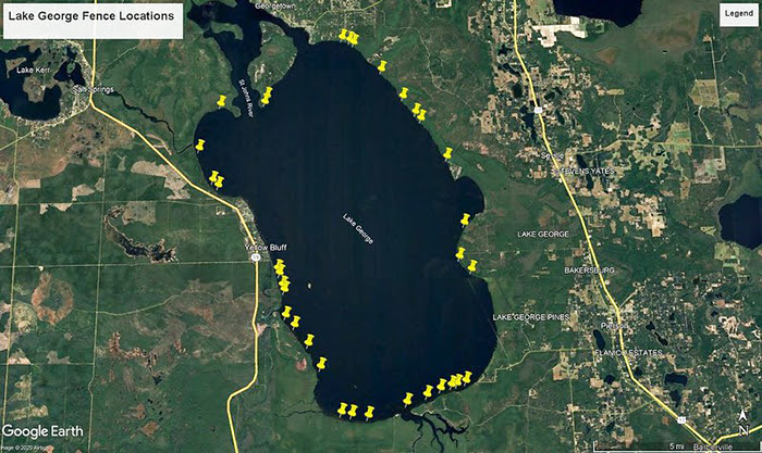 Lake George fenced enclosures
