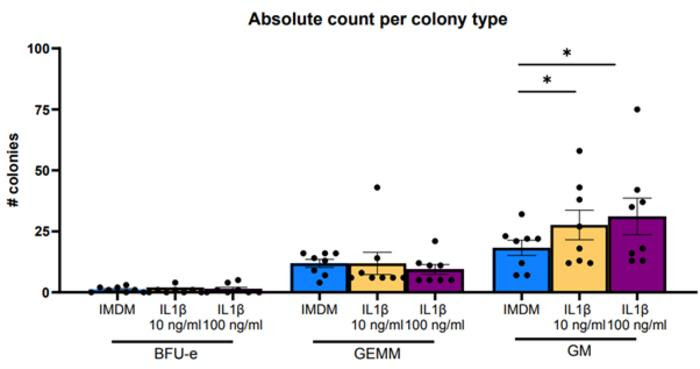 Absolute count per colony type