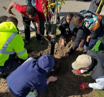 People plant a tree as part of the DTE Foundation's tree grant program. 