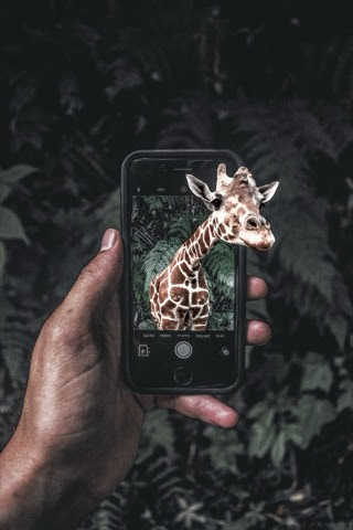 Giraffe-out-of-Phone