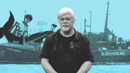 Détention de Paul Watson : comment la France se mobilise pour la libération du militant écologiste