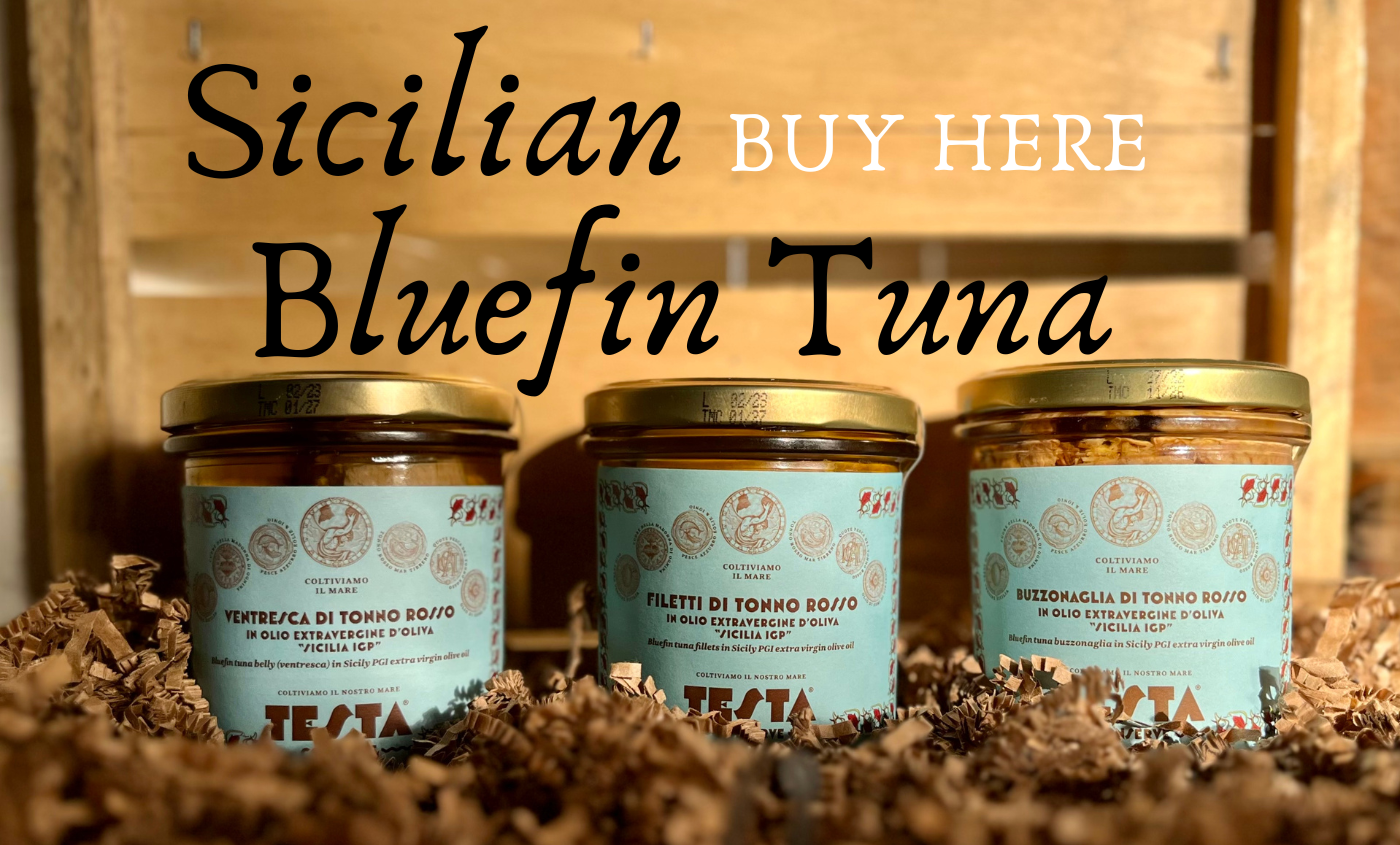 testa conserve bluefin tuna jars