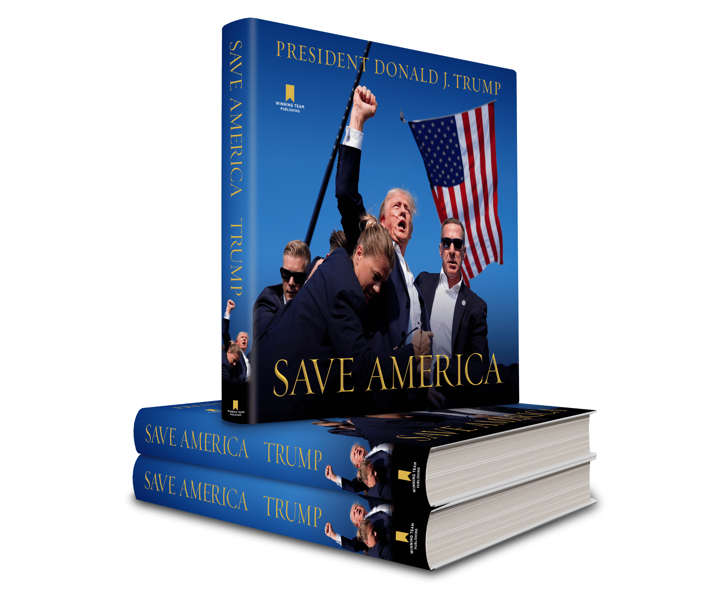 SAVE AMERICA BOOK COVER