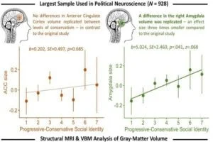 This is the graphical abstract for the iScience paper "Is political ideology correlated with brain structure? A preregistered replication."