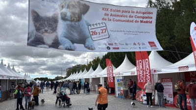 237 perros y 76 felinos encontraron nueva familia en el Salón de Adopción del pasado fin de semana