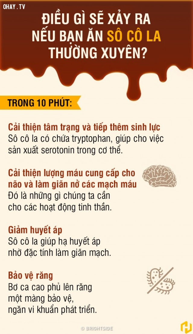 ,sô cô la đen,chocolate,socola,infographic