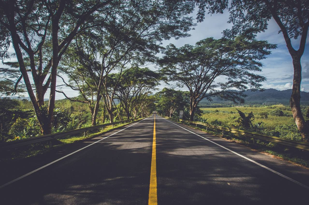 (Reprodução: Pixabay)