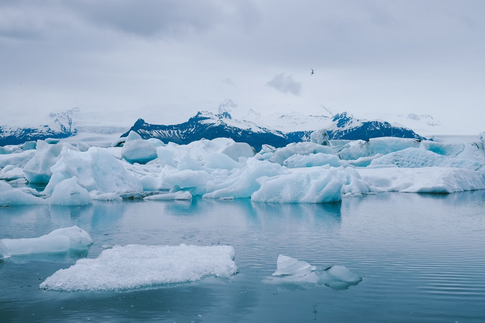 Glace sur plan d’eau