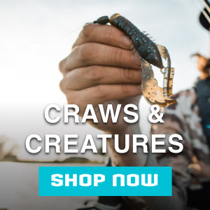 SHOP CRAWS AND CREATURES