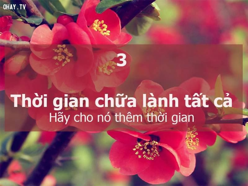 ảnh sống đẹp,nguyên tắc sống,sống tốt