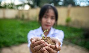 Una estudiante vietnamita muestra una planta germinada.