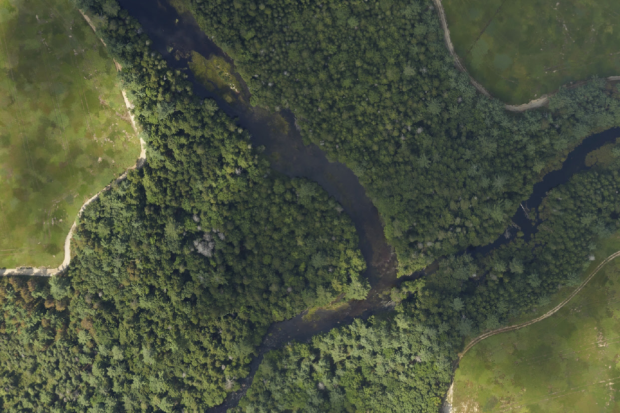 At top the aerial photo of the river, nested within a heavily forested area. Beneath is a thermal image capturing surface temperatures using infrared imaging. Much of the river is in bright reds, oranges, and pinks with a few dark blue patches of colder water.