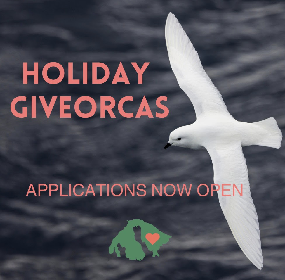 GiveOrcas Applications Now Open