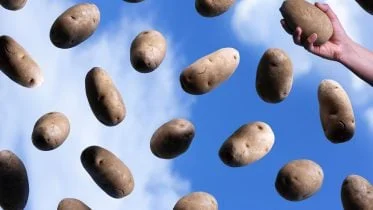 Potatoes in The Sky