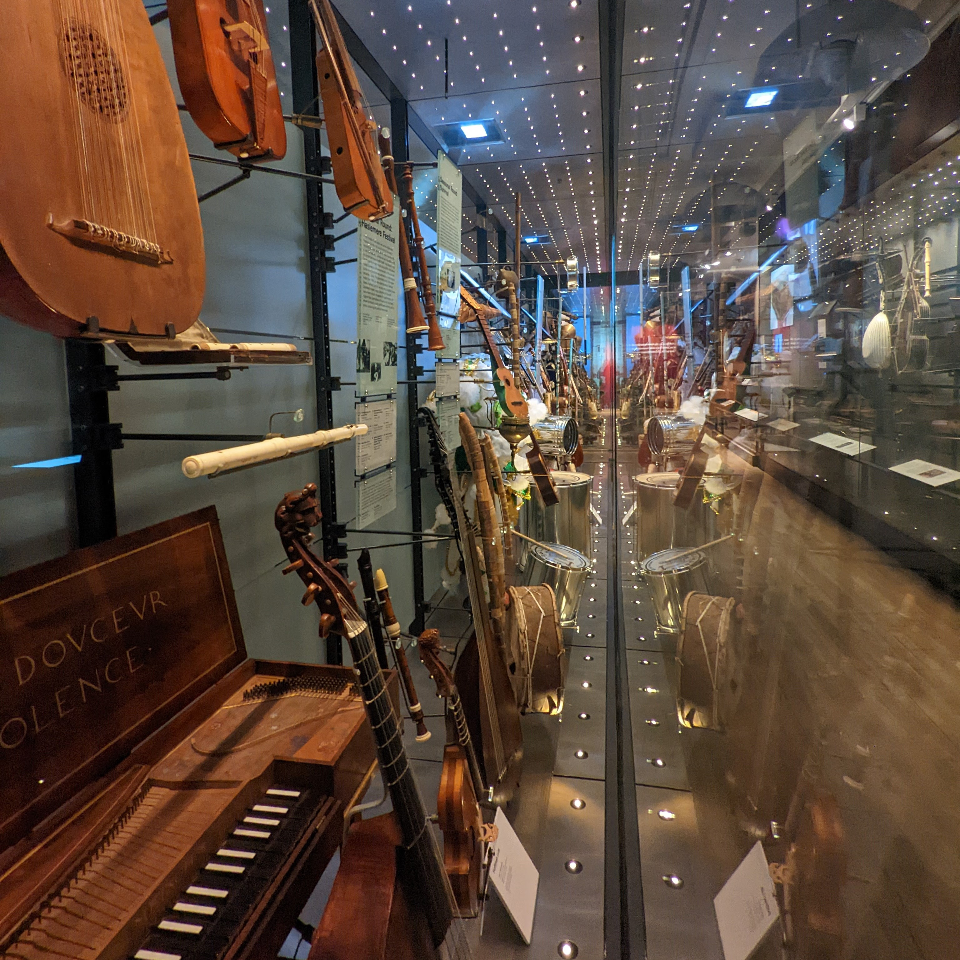 A display of stringed instruments in a glass case 