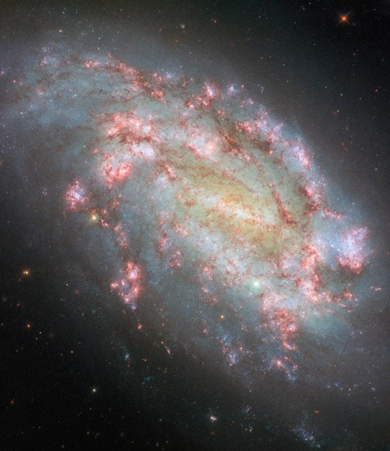 Galaxy NGC 1559