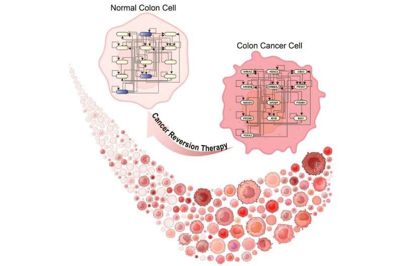 Foundational technology to revert cancer cells to normal cells