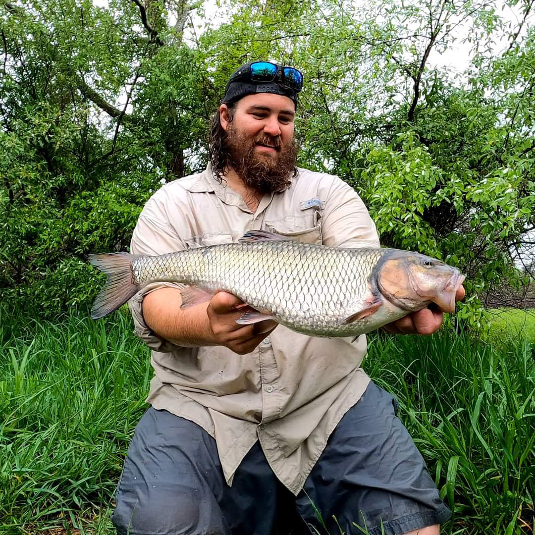 A photo of a man kneeling on the bank of a river holding a large fallfish.