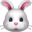 🐰